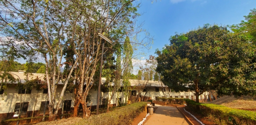 msolwa-walkway-mango